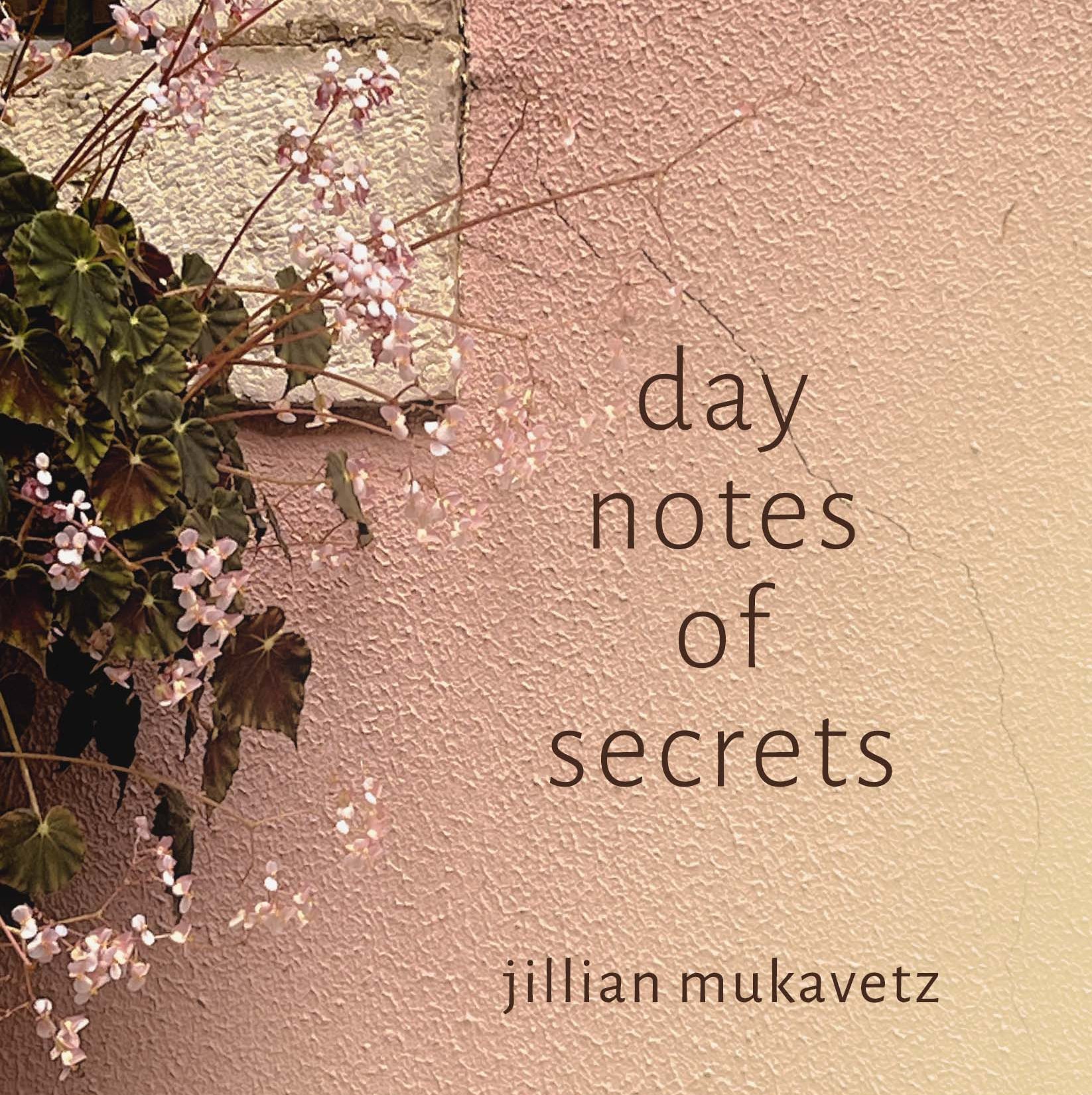 day notes of secrets
